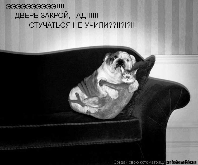 ЭЭЭЭЭЭЭЭЭЭ!!!! ДВЕРЬ ЗАКРОЙ, ГАД!!!!!! СТУЧАТЬСЯ НЕ УЧИЛИ??!!?!?!!!... Котоматрица: ЭЭЭЭЭЭЭЭЭЭ!!!! ДВЕРЬ ЗАКРОЙ, ГАД!!!!!! СТУЧАТЬСЯ НЕ УЧИЛИ??!!?!?!!!