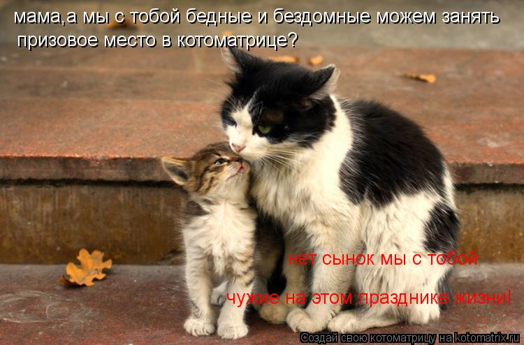 мама,а мы с тобой бедные и бездомные можем занять призовое место в котоматрице? нет сынок мы с тобой ... Котоматрица: мама,а мы с тобой бедные и бездомные можем занять призовое место в котоматрице? нет сынок мы с тобой чужие на этом празднике жизни!