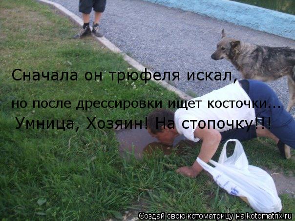 Сначала он трюфеля искал, но после дрессировки ищет косточки... Умница, Хозяин! На стопочку!!!... Котоматрица: Сначала он трюфеля искал, но после дрессировки ищет косточки... Умница, Хозяин! На стопочку!!!