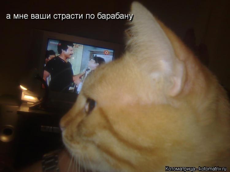 а мне ваши страсти по барабану а мне ваши страсти по барабану... Котоматрица: а мне ваши страсти по барабану а мне ваши страсти по барабану