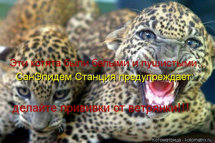 Эти котята были белыми и пушистыми... СанЭпидем Станция предупреждает: делайте прививки от ветрянки!!... Котоматрица: Эти котята были белыми и пушистыми... СанЭпидем Станция предупреждает: делайте прививки от ветрянки!!!