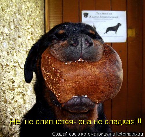 Не, не слипнется- она не сладкая!!!... Котоматрица: Не, не слипнется- она не сладкая!!!