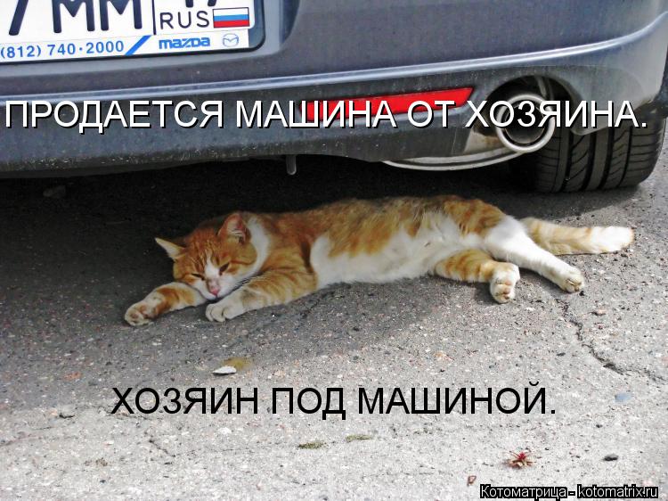 ПРОДАЕТСЯ МАШИНА ОТ ХОЗЯИНА. ХОЗЯИН ПОД МАШИНОЙ.... Котоматрица: ПРОДАЕТСЯ МАШИНА ОТ ХОЗЯИНА. ХОЗЯИН ПОД МАШИНОЙ.