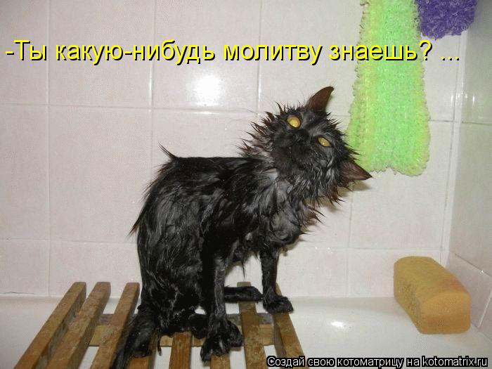-Ты какую-нибудь молитву знаешь? ...... Котоматрица: -Ты какую-нибудь молитву знаешь? ...