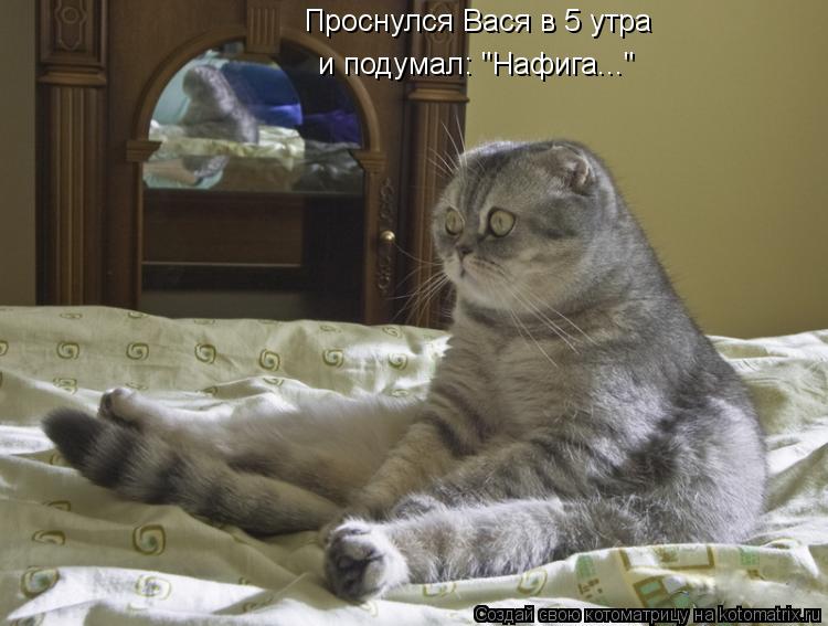 Проснулся Вася в 5 утра и подумал: "Нафига..."... Котоматрица: Проснулся Вася в 5 утра и подумал: "Нафига..."