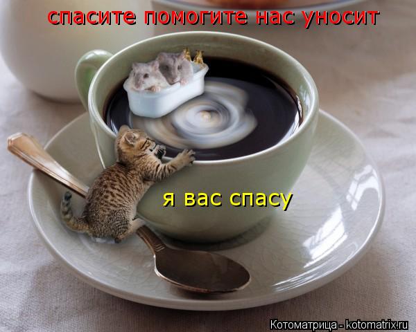 спасите помогите нас уносит спасите помогите нас уносит я вас спасу... Котоматрица: спасите помогите нас уносит спасите помогите нас уносит я вас спасу