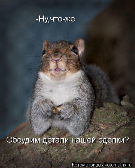 -Ну,что-же Обсудим детали нашей сделки?... Котоматрица: -Ну,что-же Обсудим детали нашей сделки?