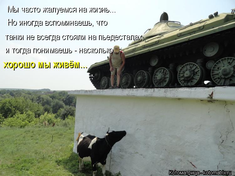 Мы часто жалуемся на жизнь... танки не всегда стояли на пьедесталах, Но иногда вспоминаешь, что и тог... Котоматрица: Мы часто жалуемся на жизнь... танки не всегда стояли на пьедесталах, Но иногда вспоминаешь, что и тогда понимаешь - насколько хорошо мы живём.