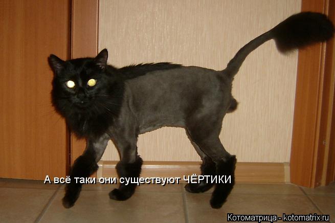 А всё таки они существуют ЧЁРТИКИ... Котоматрица: А всё таки они существуют ЧЁРТИКИ