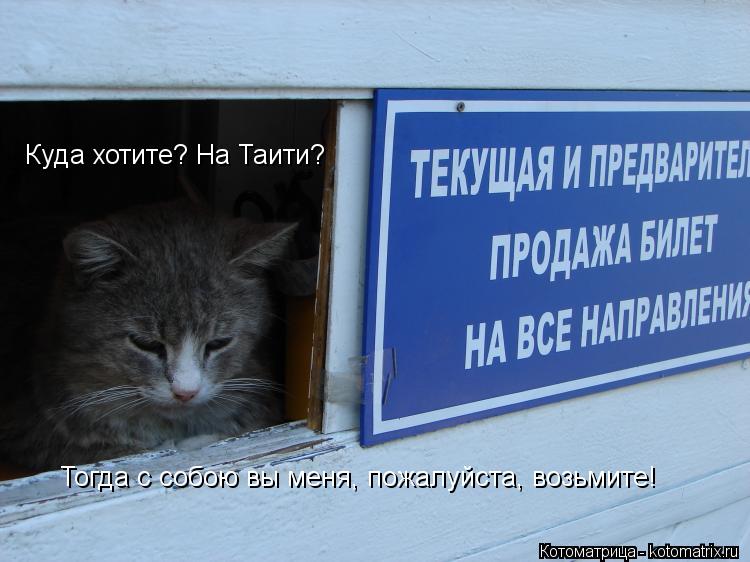 Куда хотите? На Таити? Тогда с собою вы меня, пожалуйста, возьмите!... Котоматрица: Куда хотите? На Таити? Тогда с собою вы меня, пожалуйста, возьмите!