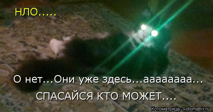 НЛО..... О нет...Они уже здесь...аааааааа... СПАСАЙСЯ КТО МОЖЕТ....... Котоматрица: НЛО..... О нет...Они уже здесь...аааааааа... СПАСАЙСЯ КТО МОЖЕТ....
