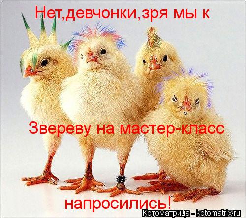 Нет,девчонки,зря мы к Звереву на мастер-класс напросились!... Котоматрица: Нет,девчонки,зря мы к Звереву на мастер-класс напросились!