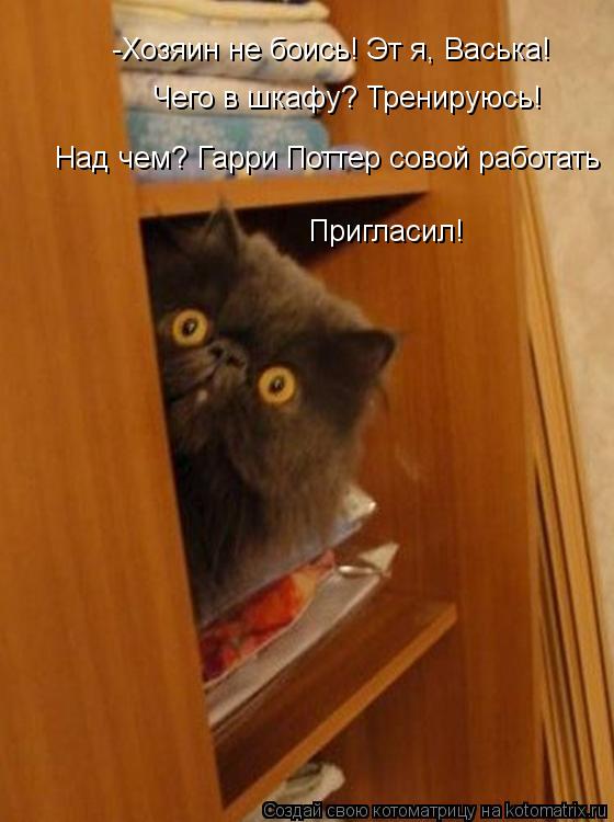 -Хозяин не боись! Эт я, Васька! Чего в шкафу? Тренируюсь! Над чем? Гарри Поттер совой работать Пригла... Котоматрица: -Хозяин не боись! Эт я, Васька! Чего в шкафу? Тренируюсь! Над чем? Гарри Поттер совой работать Пригласил!