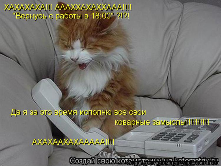 ХАХАХАХА!!! АААХХАХАХХААА!!!! "Вернусь с работы в 18:00" ?!?! Да я за это время исполню все свои ков... Котоматрица: ХАХАХАХА!!! АААХХАХАХХААА!!!! "Вернусь с работы в 18:00" ?!?! Да я за это время исполню все свои коварные замыслы!!!!!!!!!! АХАХААХАХААААА!!!!