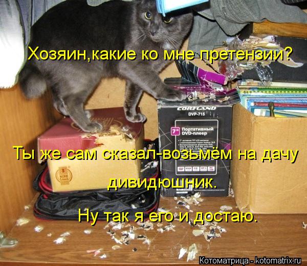 Хозяин,какие ко мне претензии? Ты же сам сказал-возьмём на дачу дивидюшник. Ну так я его и достаю.... Котоматрица: Хозяин,какие ко мне претензии? Ты же сам сказал-возьмём на дачу дивидюшник. Ну так я его и достаю.