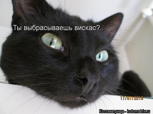 Ты выбрасываешь вискас?..... Котоматрица: Ты выбрасываешь вискас?..