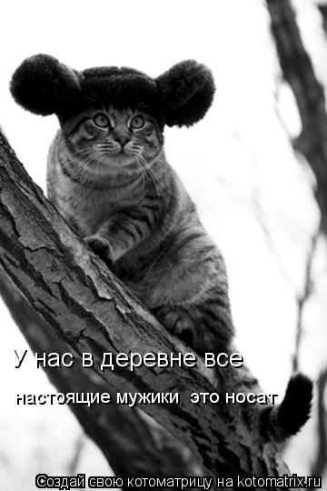 У нас в деревне все настоящие мужики это носат... Котоматрица: У нас в деревне все настоящие мужики это носат