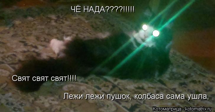 ЧЁ НАДА????!!!!! Свят свят свят!!!! Лежи лежи пушок, колбаса сама ушла,... Котоматрица: ЧЁ НАДА????!!!!! Свят свят свят!!!! Лежи лежи пушок, колбаса сама ушла,