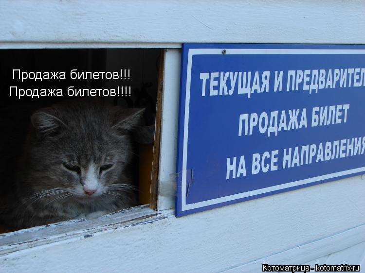 Продажа билетов!!! Продажа билетов!!!!... Котоматрица: Продажа билетов!!! Продажа билетов!!!!
