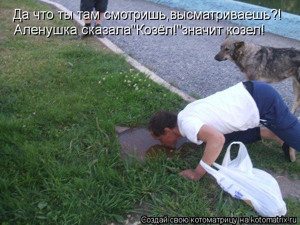 Да что ты там смотришь,высматриваешь?! Аленушка сказала"Козёл!"значит козел!... Котоматрица: Да что ты там смотришь,высматриваешь?! Аленушка сказала"Козёл!"значит козел!