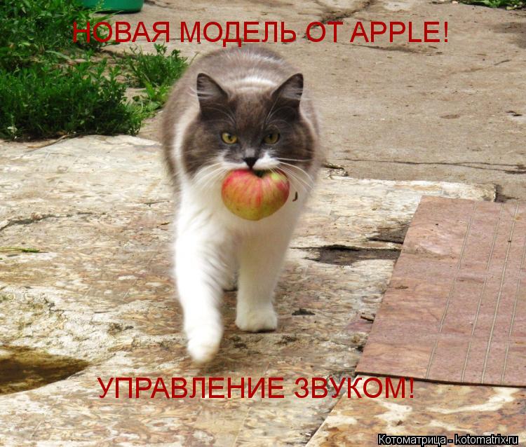 НОВАЯ МОДЕЛЬ ОТ APPLE! УПРАВЛЕНИЕ ЗВУКОМ!... Котоматрица: НОВАЯ МОДЕЛЬ ОТ APPLE! УПРАВЛЕНИЕ ЗВУКОМ!