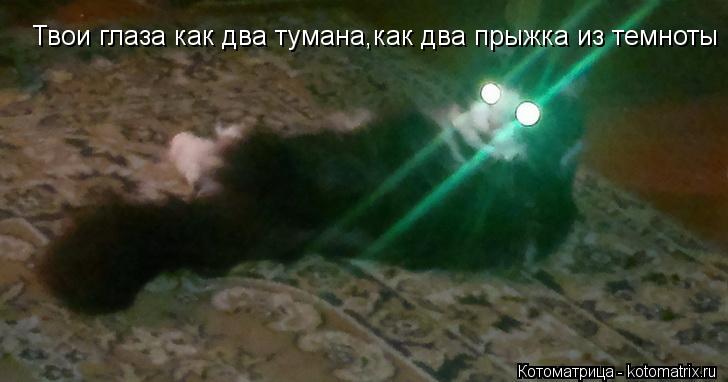 Твои глаза как два тумана,как два прыжка из темноты... Котоматрица: Твои глаза как два тумана,как два прыжка из темноты