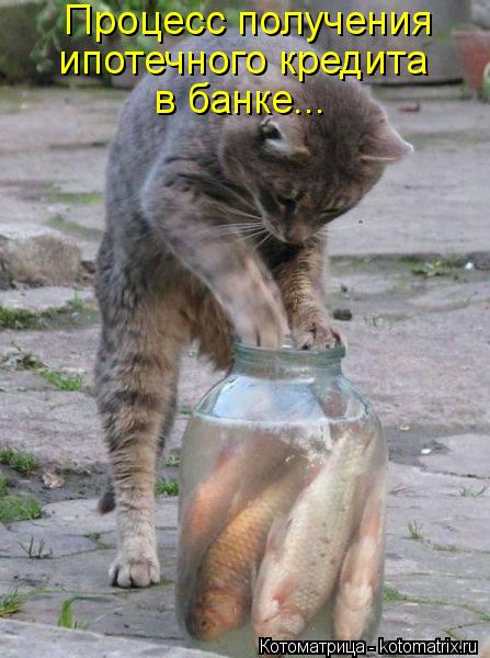 Процесс получения ипотечного кредита в банке...... Котоматрица: Процесс получения ипотечного кредита в банке...