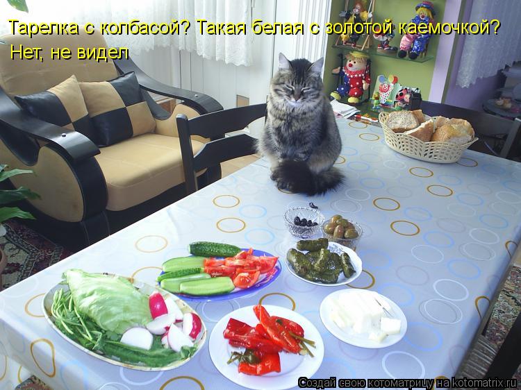 Тарелка с колбасой? Такая белая с золотой каемочкой? Нет, не видел... Котоматрица: Тарелка с колбасой? Такая белая с золотой каемочкой? Нет, не видел