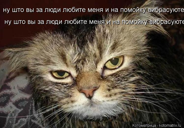 ну што вы за люди любите меня и на помойку вибрасуюте а потом режете штоби есть ну што вы за люди люб... Котоматрица: ну што вы за люди любите меня и на помойку вибрасуюте а потом режете штоби есть ну што вы за люди любите меня и на помойку вибрасуюте а потом