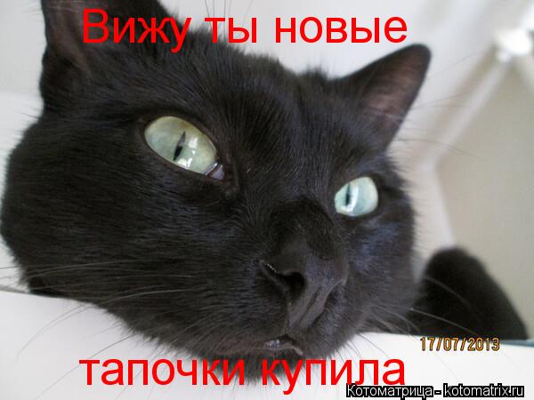 Вижу ты новые тапочки купила... Котоматрица: Вижу ты новые тапочки купила