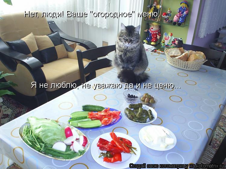 Нет, люди! Ваше "огородное" меню, Нет, люди! Ваше "огородное" меню, Я не люблю, не уважаю да и не цен... Котоматрица: Нет, люди! Ваше "огородное" меню, Нет, люди! Ваше "огородное" меню, Я не люблю, не уважаю да и не ценю...