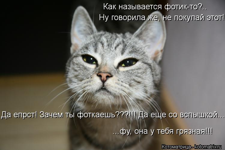 Как называется фотик-то?.. Ну говорила же, не покупай этот! Да епрст! Зачем ты фоткаешь???!!! Да еще ... Котоматрица: Как называется фотик-то?.. Ну говорила же, не покупай этот! Да епрст! Зачем ты фоткаешь???!!! Да еще со вспышкой... фу, она у тебя грязная!!! Да епрс