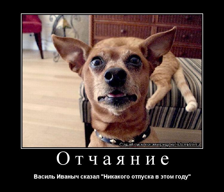Отчаяние Василь Иваныч сказал "Никакого отпуска в этом году"... Котоматрица: Отчаяние Василь Иваныч сказал "Никакого отпуска в этом году"