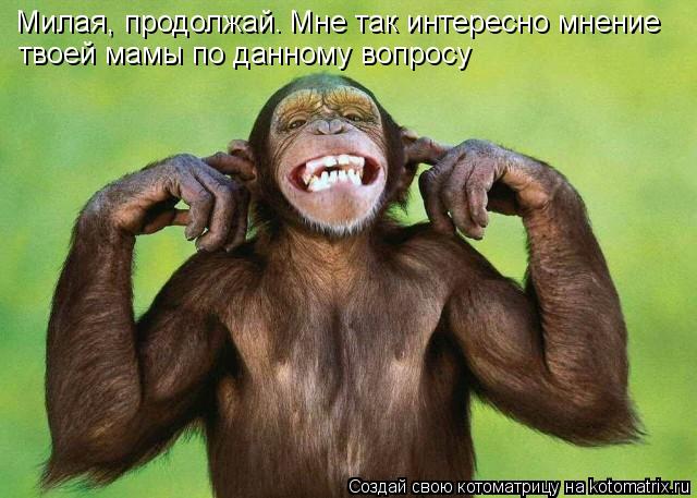 Милая, продолжай. Мне так интересно мнение твоей мамы по данному вопросу... Котоматрица: Милая, продолжай. Мне так интересно мнение твоей мамы по данному вопросу