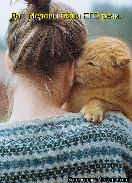 Да...Медовы были ЕГО речи.... Котоматрица: Да...Медовы были ЕГО речи.