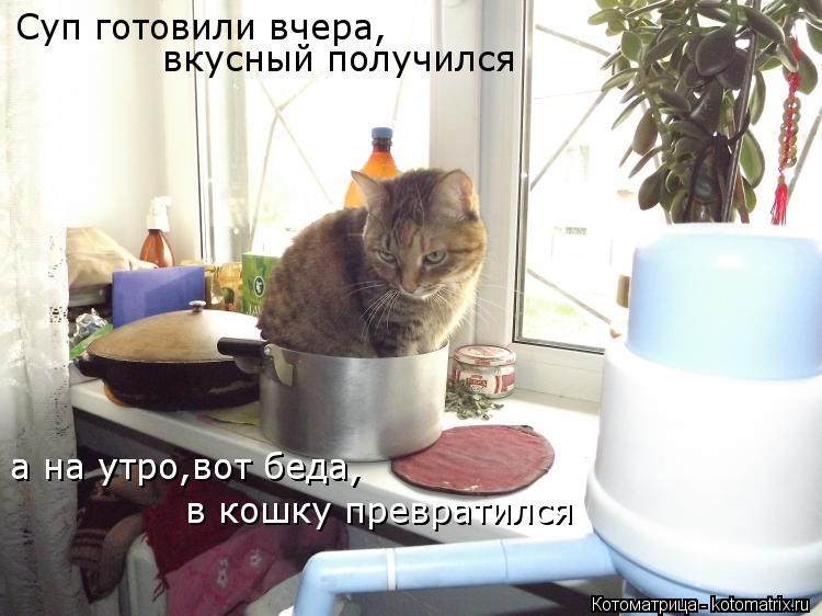 Суп готовили вчера, вкусный получился а на утро,вот беда, а на утро,вот беда, в кошку превратился... Котоматрица: Суп готовили вчера, вкусный получился а на утро,вот беда, а на утро,вот беда, в кошку превратился
