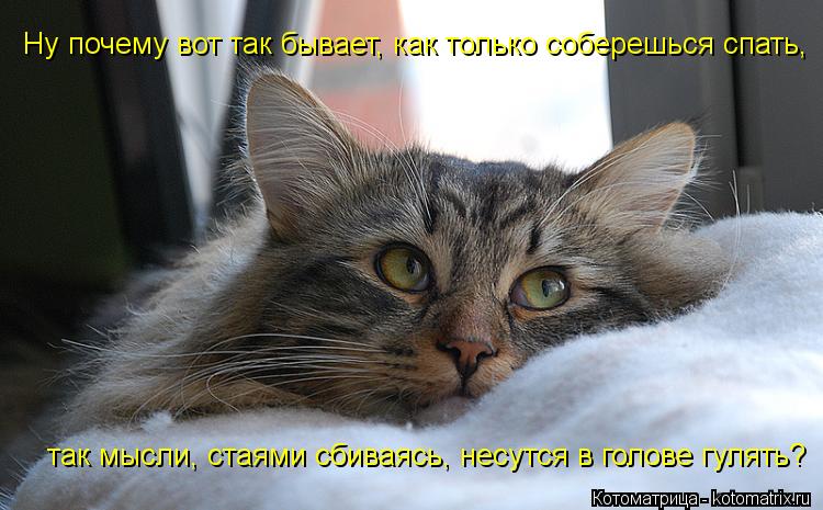 http://kotomatrix.ru/images/lolz/2013/07/23/kotomatritsa_2Q.jpg