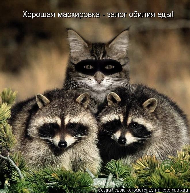 Хорошая маскировка - залог обилия еды!... Котоматрица: Хорошая маскировка - залог обилия еды!