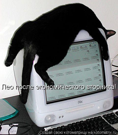 Лео после экономического вторника!... Котоматрица: Лео после экономического вторника!