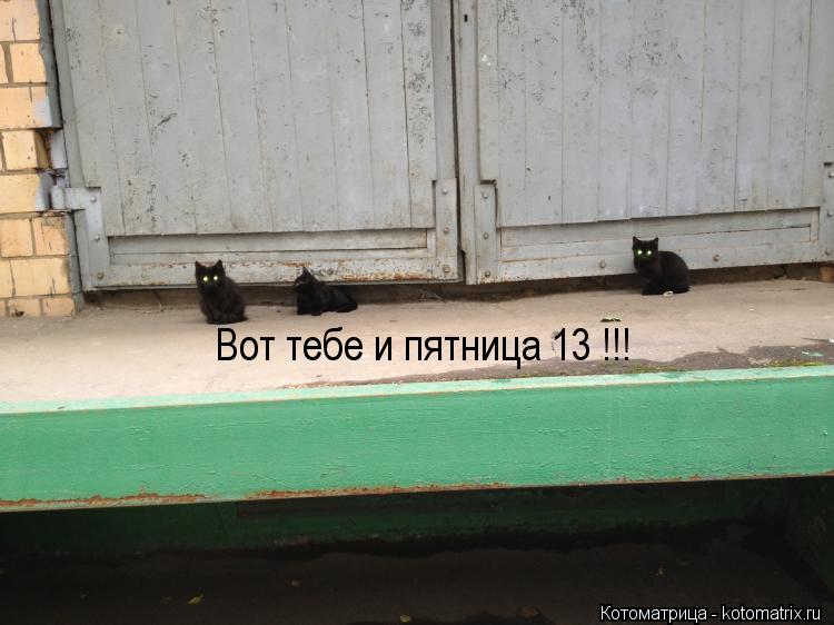 Вот тебе и пятница 13 !!!... Котоматрица: Вот тебе и пятница 13 !!!