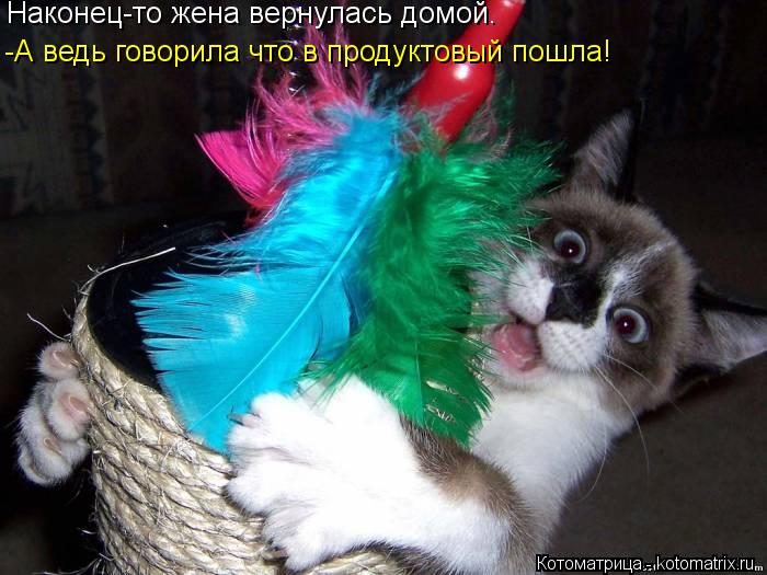 -А ведь говорила что в продуктовый пошла! Наконец-то жена вернулась домой.... Котоматрица: -А ведь говорила что в продуктовый пошла! Наконец-то жена вернулась домой.