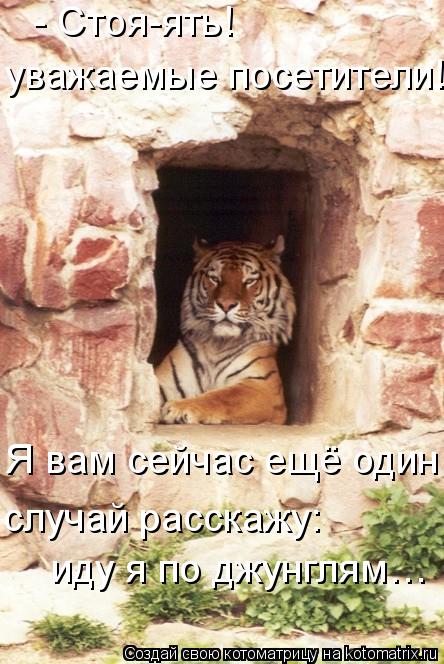 - Стоя-ять! уважаемые посетители! Я вам сейчас ещё один иду я по джунглям… случай расскажу:... Котоматрица: - Стоя-ять! уважаемые посетители! Я вам сейчас ещё один иду я по джунглям… случай расскажу: