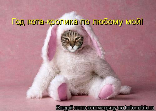 Год кота-кролика по любому мой!... Котоматрица: Год кота-кролика по любому мой!