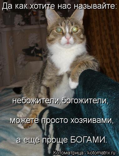 Да как хотите нас называйте: небожители,богожители, можете просто хозяивами, а ещё проще БОГАМИ.... Котоматрица: Да как хотите нас называйте: небожители,богожители, можете просто хозяивами, а ещё проще БОГАМИ.