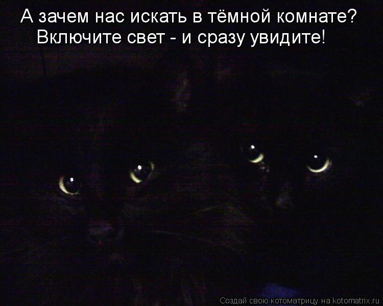 Котоматрица: А зачем нас искать в тёмной комнате? Включите свет - и сразу увидите!