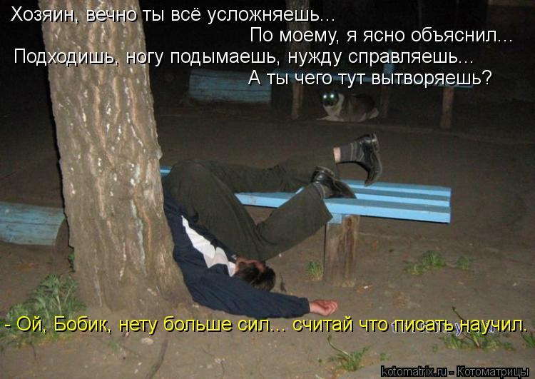 http://kotomatrix.ru/images/lolz/2013/07/23/kotomatritsa_HG.jpg