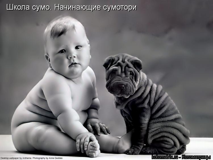 http://kotomatrix.ru/images/lolz/2013/07/23/kotomatritsa_IB.jpg