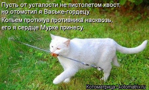 Пусть от усталости не пистолетом хвост, но отомстил я Ваське-гордецу. Копьем проткнув противника нас... Котоматрица: Пусть от усталости не пистолетом хвост, но отомстил я Ваське-гордецу. Копьем проткнув противника насквозь, его я сердце Мурке принесу.