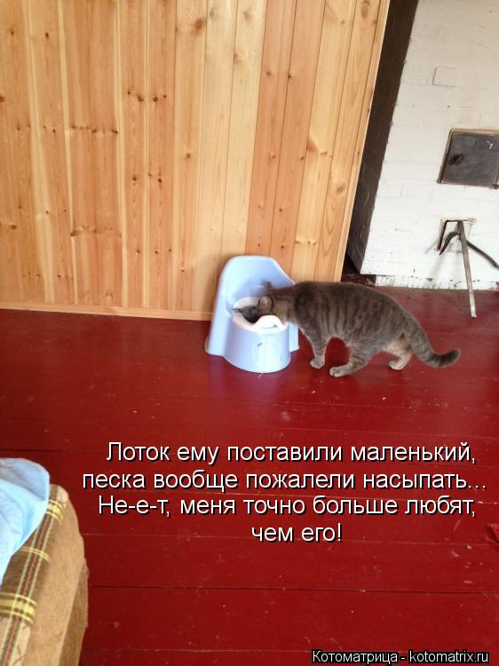 Лоток ему поставили маленький, песка вообще пожалели насыпать... Не-е-т, меня точно больше любят, че... Котоматрица: Лоток ему поставили маленький, песка вообще пожалели насыпать... Не-е-т, меня точно больше любят, чем его!