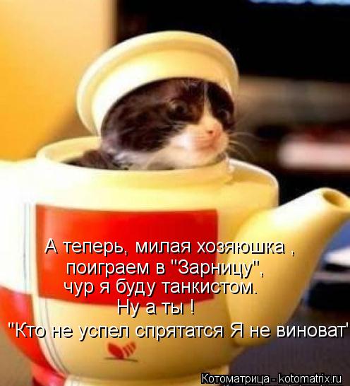 А теперь, милая хозяюшка , поиграем в "Зарницу", чур я буду танкистом. Ну а ты ! "Кто не успел спрята... Котоматрица: А теперь, милая хозяюшка , поиграем в "Зарницу", чур я буду танкистом. Ну а ты ! "Кто не успел спрятатся Я не виноват"